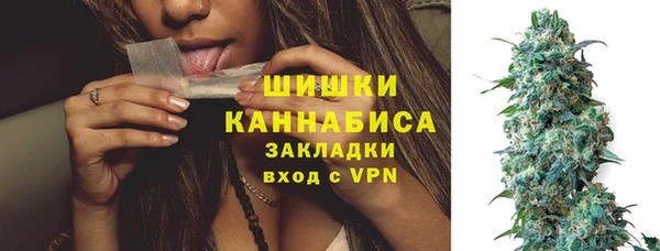 мет Инта