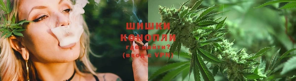 стаф Иннополис
