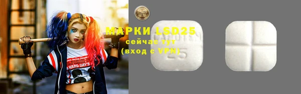 дмт Инсар
