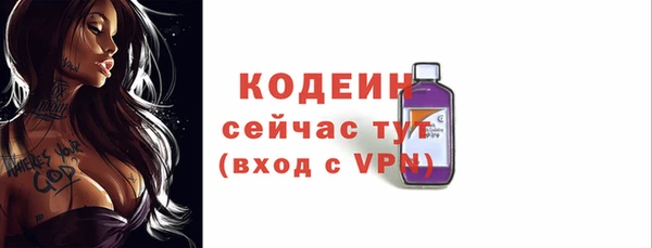 мет Инта