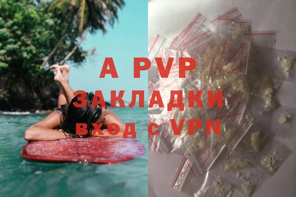 стаф Иннополис