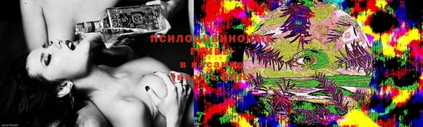 мет Инта