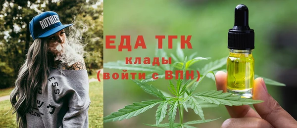 дмт Инсар