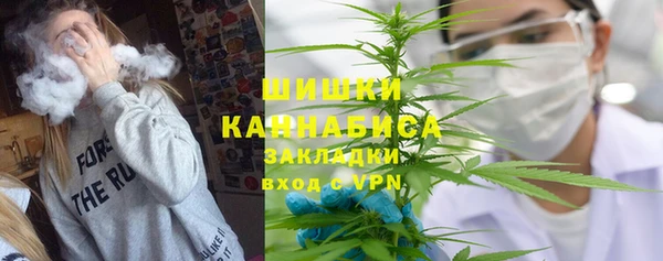 дмт Инсар