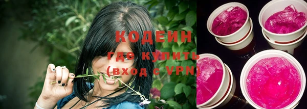 мет Инта
