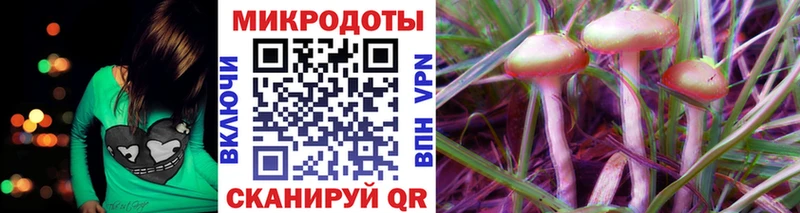 Псилоцибиновые грибы Psilocybine cubensis  Купить  Холмск 